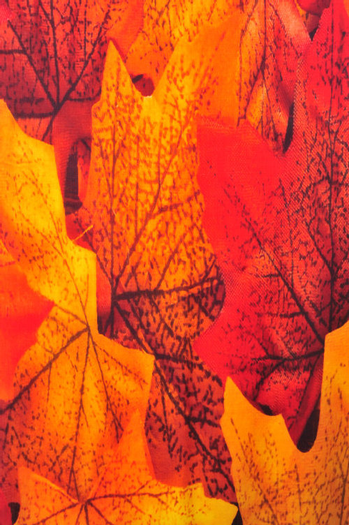 cashmere-sjaal-indian-summer